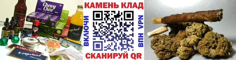 Купить закладки  Верхняя Пышма  Cannafood конопля 