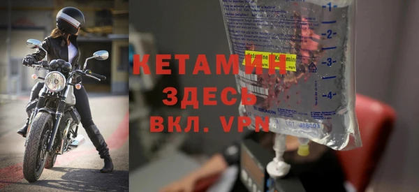 гидра Инта