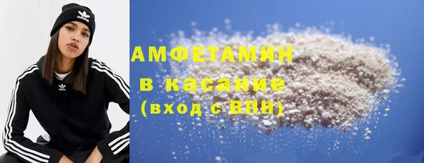 гидра Инта