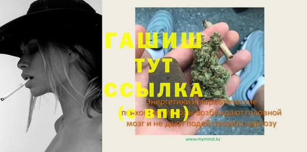 гидра Инта