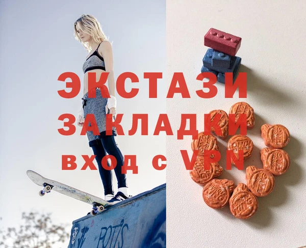 гидра Инта