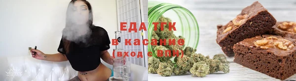 гидра Инта