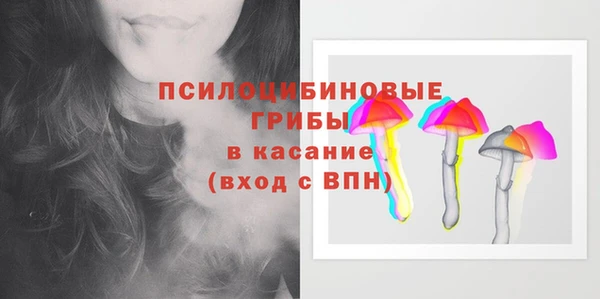 меф Каменск-Шахтинский