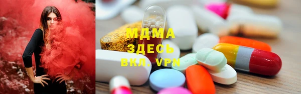 гидра Инта