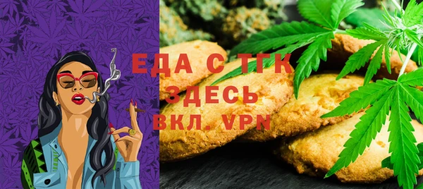 гидра Инта