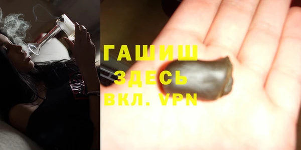 гидра Инта