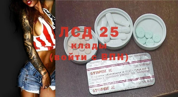 гидра Инта