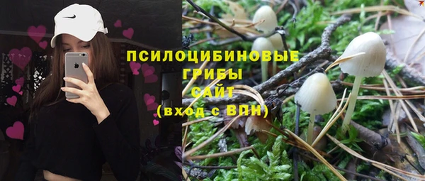 прущие крисы Каменногорск