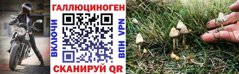 Галлюциногенные грибы GOLDEN TEACHER  Купить закладки  Верхняя Пышма 